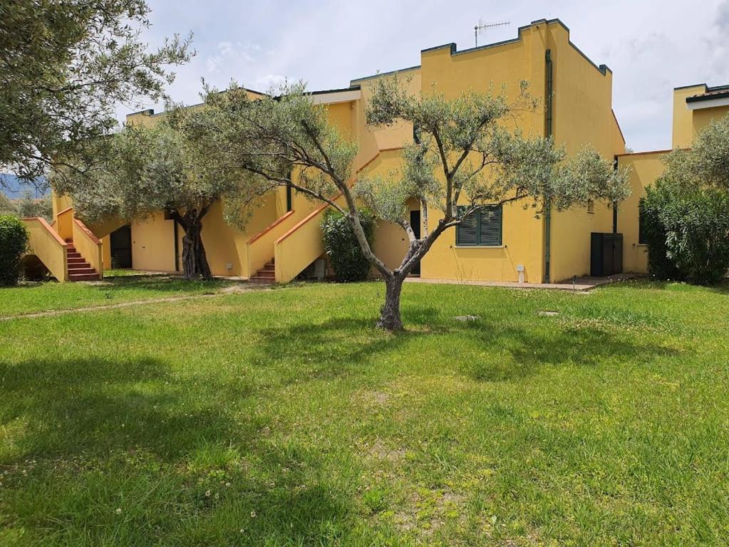 a yellow house with a tree in the yard at Residenze Sant'Andrea in Isca Marina