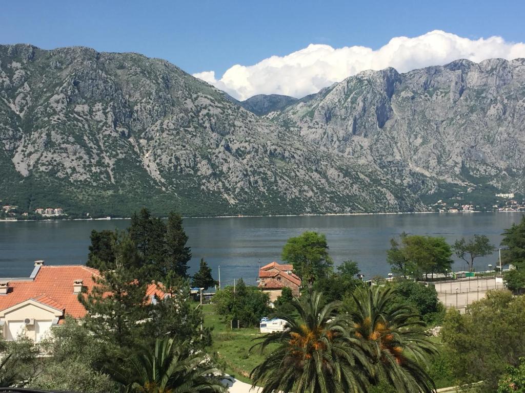 einen Blick auf einen See mit Bergen im Hintergrund in der Unterkunft Apartmani Stanojevic in Kotor