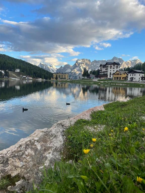 two ducks swimming in a lake with mountains in the background at Hotel Lavaredo in Misurina