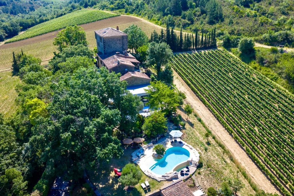 an aerial view of a estate with a swimming pool and a vineyard at Château de Tournou in Castelreng