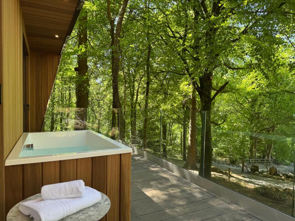 a bath tub in front of a window with trees at Forest Lodges in Betws-y-coed