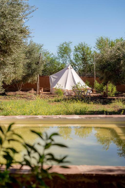 a white tent sitting next to a pond at Omi Farm & Lodge in Marrakesh