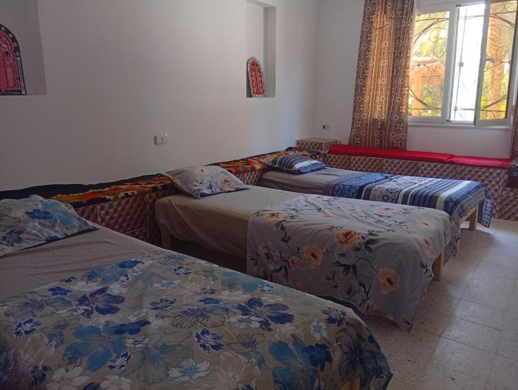 a room with three beds and a window at La tente tamaghza in Tamaghzah