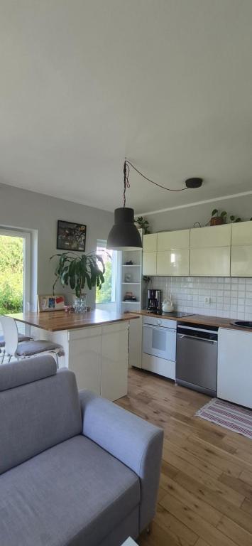 a living room with a couch and a kitchen at Apartament Maciejkowa in Szczecin