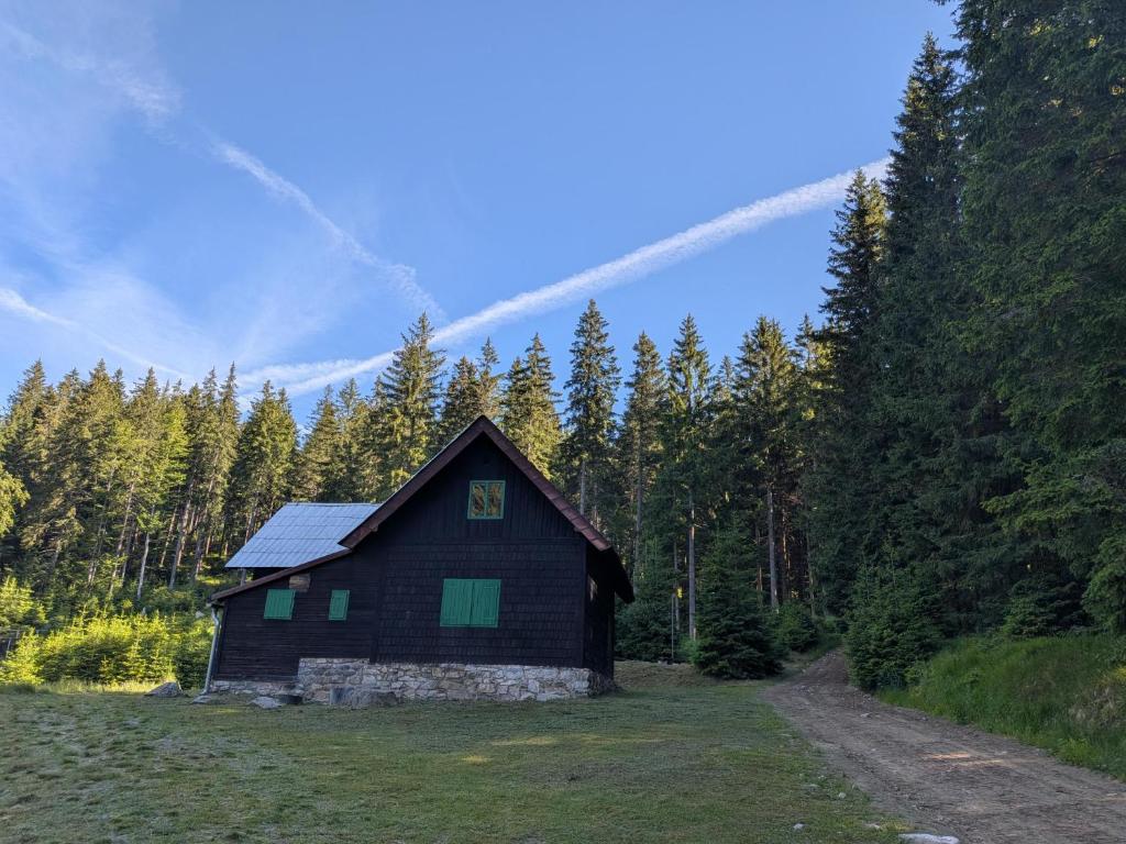 a small black house in the middle of a forest at Chata POUSTEVNA ( Střelecká ) in Vrbno pod Pradědem