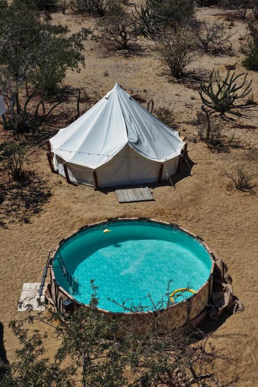 ein Zelt und ein Swimmingpool in der Wüste in der Unterkunft Glamping 3 Idiomas in El Sargento
