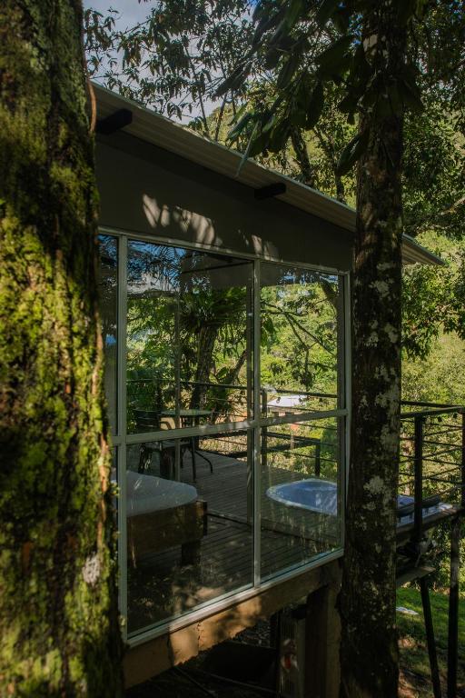a view of a house through a tree at Natural Glamping Cocorna in Cocorná