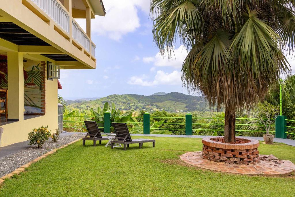 a patio with two chairs and a palm tree at The Ceiba Villa by Otium in Aguas Claras