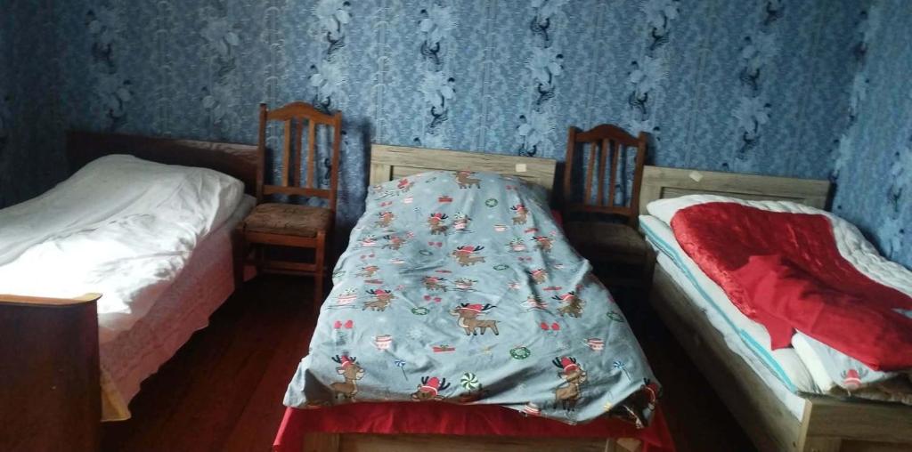 two twin beds in a bedroom with blue walls at Дом мичти in Tsalka