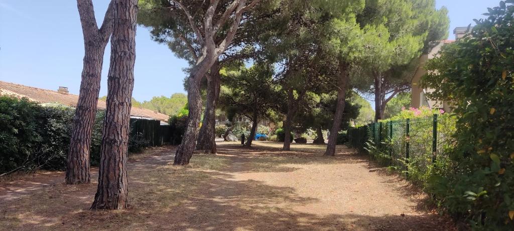 T2 luxe rdj cap d agde