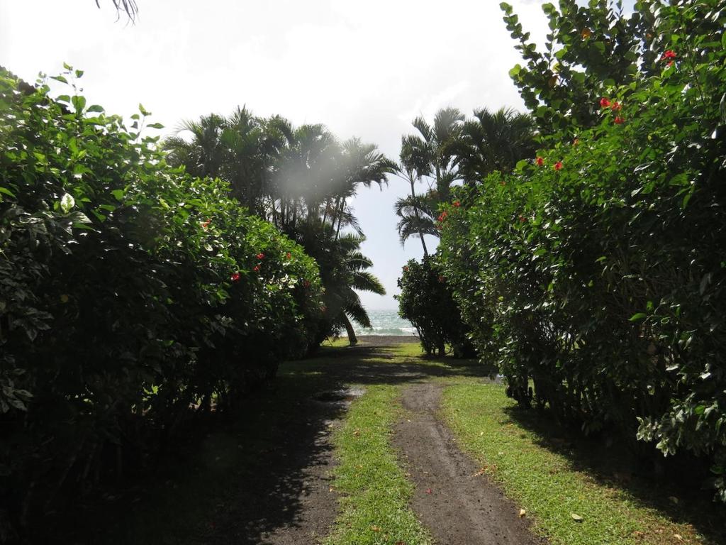 Bungalow Tearo - photo 8 - Tahiti, Polynésie