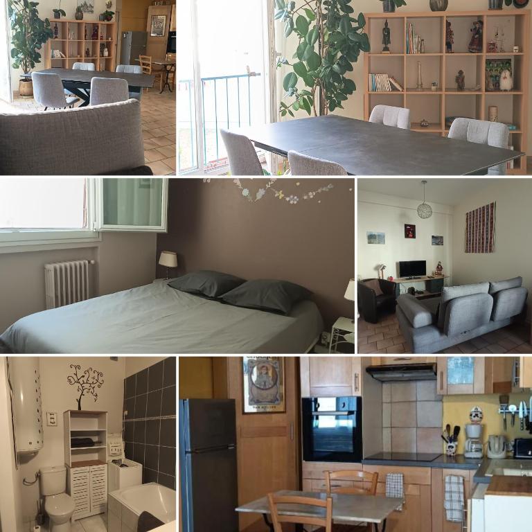 Appartement quartier Libération proche Université Valrose