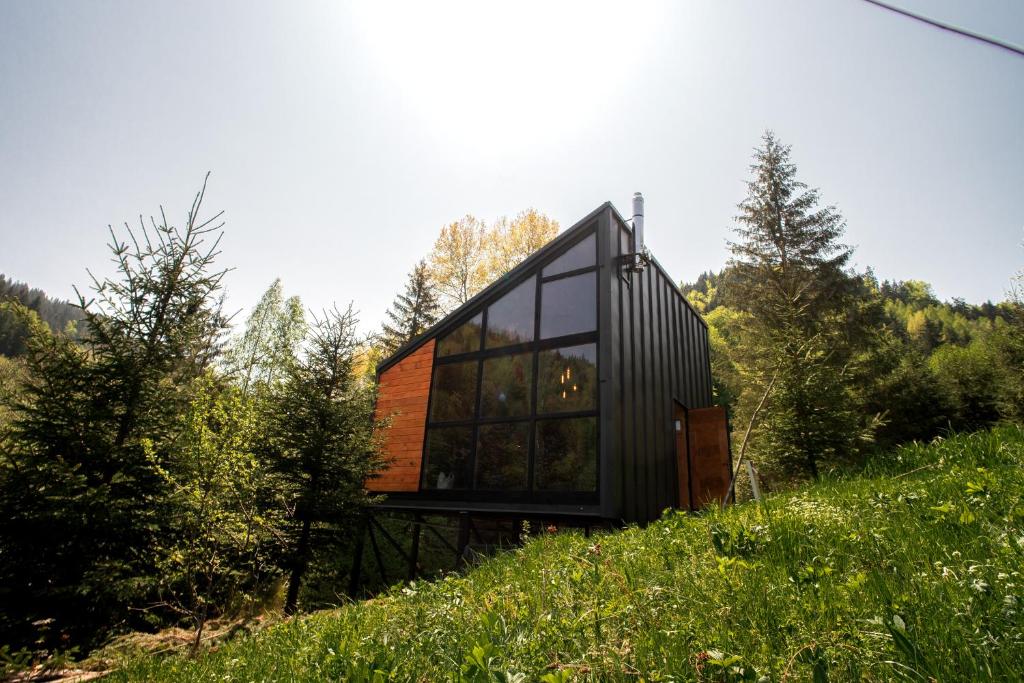 a house on top of a hill with trees at Asket Villas in Krivorovnya