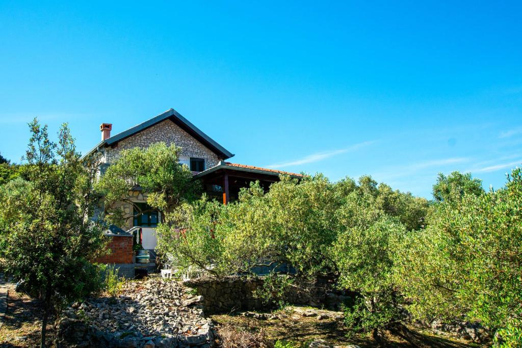 a house sitting on top of a hill with trees at House Punta in Kraj