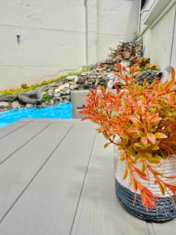 a plant in a pot sitting on a table at Hostal Casa Iwa in Medellín