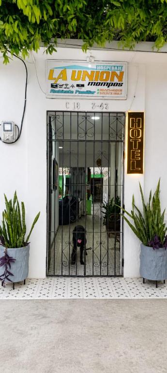 a door to a building with a dog sitting inside at Casa Hotel La Unión in Santa Cruz de Mompox