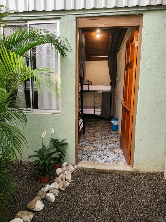 Alpha Arenal Hostel - 女性宿舍间的双层床