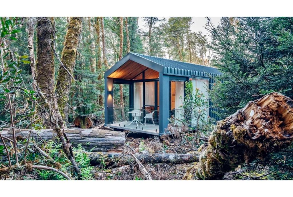 a tiny house in the woods with a tree stump at Discovery Resorts - Cradle Mountain in Cradle Mountain