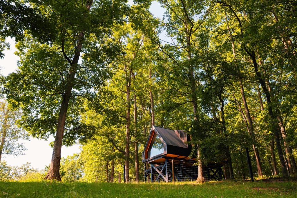 a tent in the middle of a forest with trees at Bison Farm - Cabin "Cielo" in Culpeper