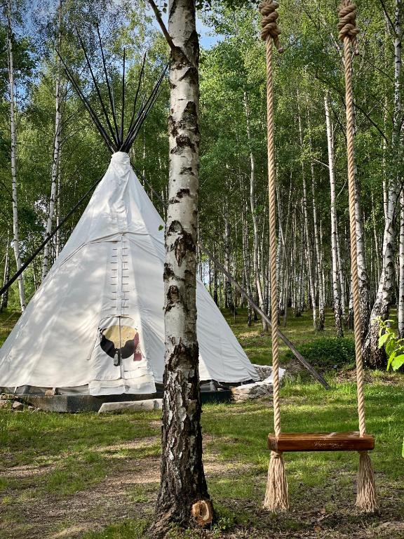 a teepee tent in the middle of a forest at Bonair Tipi Village I Glamping in Călăţele
