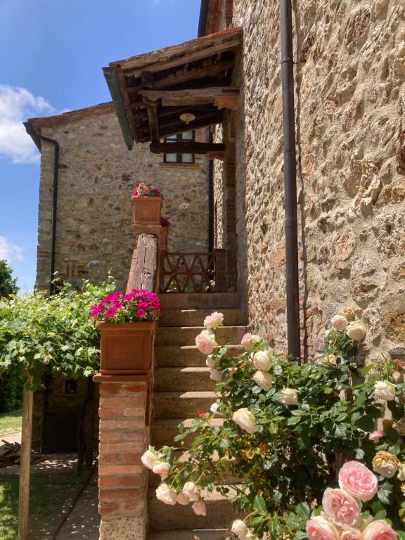a stone building with potted plants on the stairs at Appartamento Puliesini in Montieri