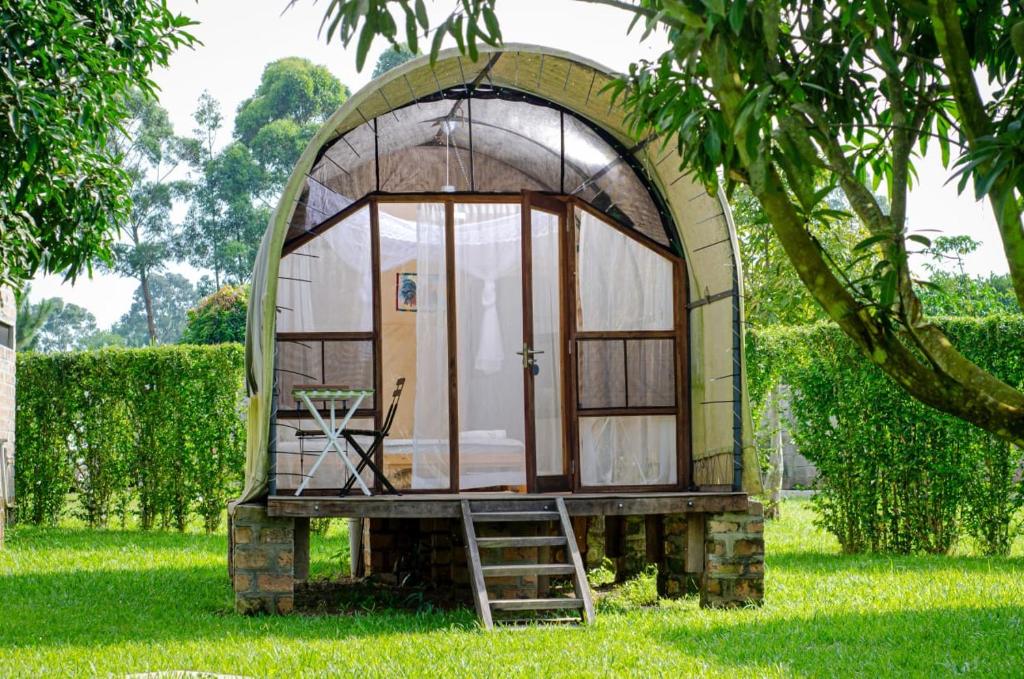 a dome house with a ladder in the grass at Buvi Camp in Buvi