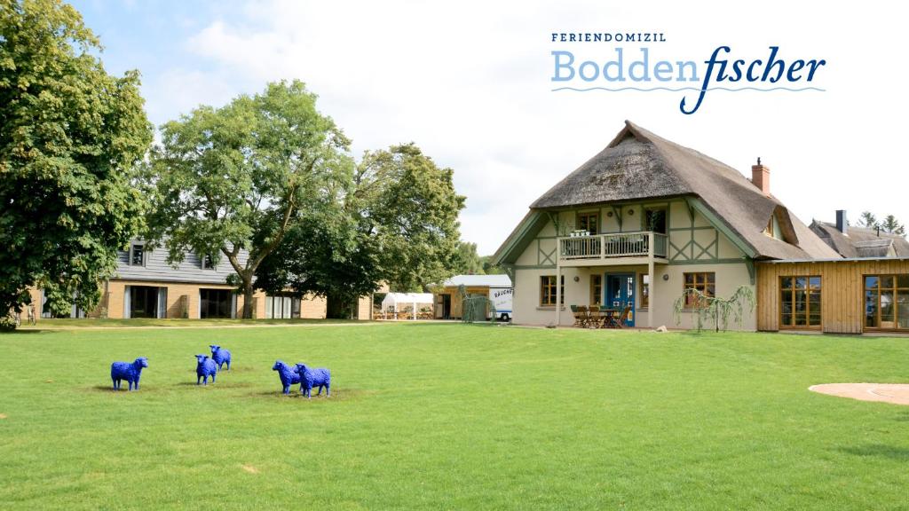 a group of blue sheep standing in the grass in front of a house at Ferienwohnungen Boddenfischer in Born
