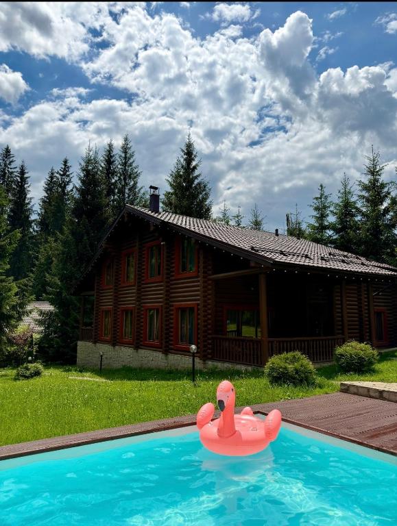 a pool with a pink float in front of a house at Маєток Ліс і Гори in Bukovel