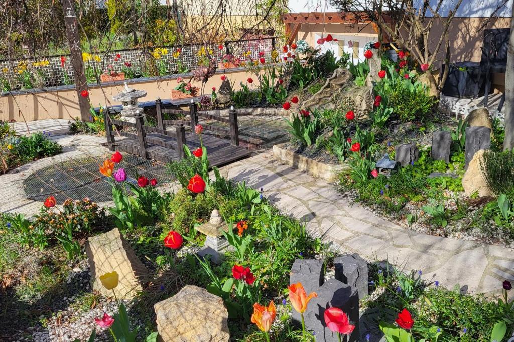Studio Colmar avec jardin privatif – photo 6
