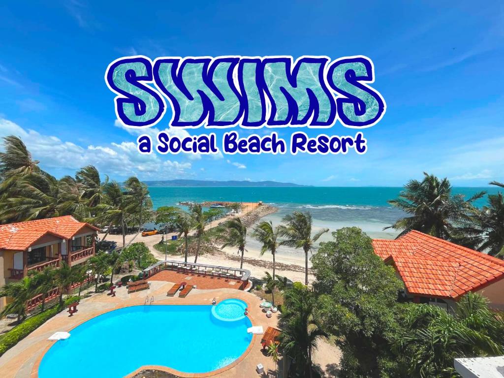 asexual beach resort a social beach resort at SWIMS! a Social Beach Resort in Haad Rin