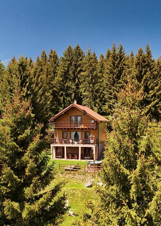 a large house in the middle of a forest at Family Nest Băișoara - Confort Premium, Wi-Fi rapid, ciubăr la cerere și view spectaculos in Muntele Băişorii