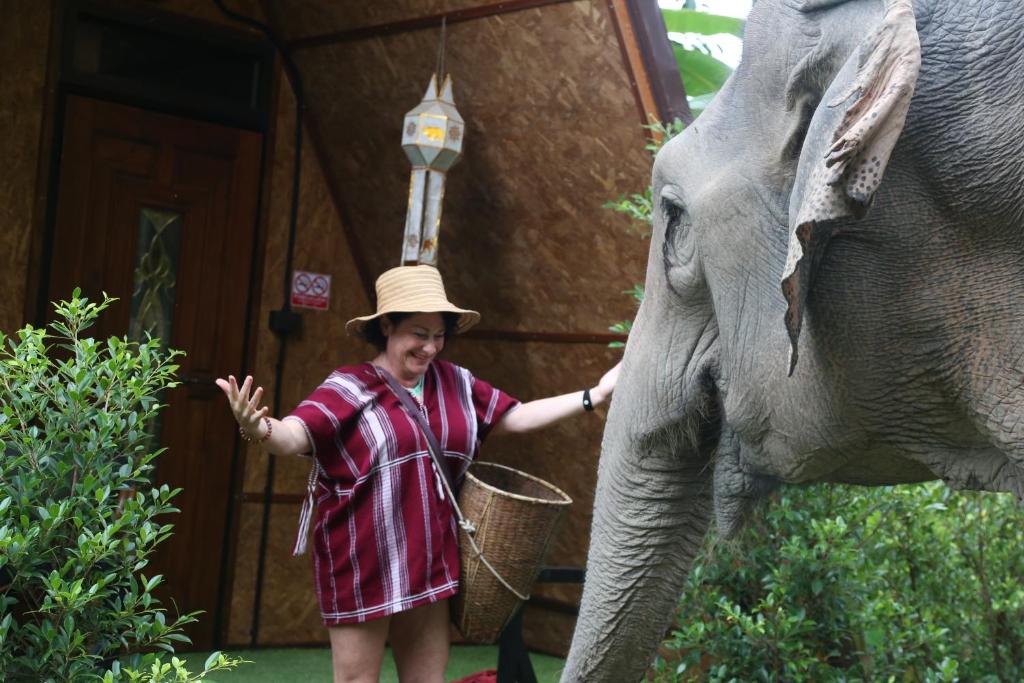 a woman in a hat standing next to an elephant at Hidden Gem Elephant in Chiang Mai