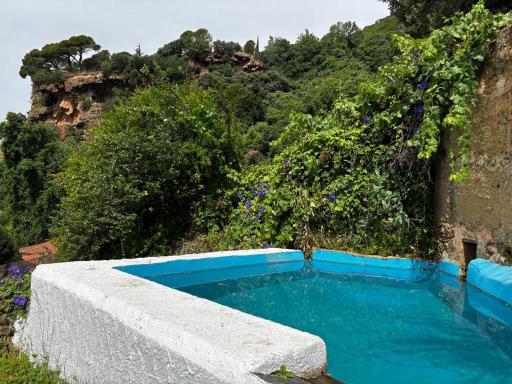 Gallery image of Las Cañas by SIERRA VIVA in Alájar