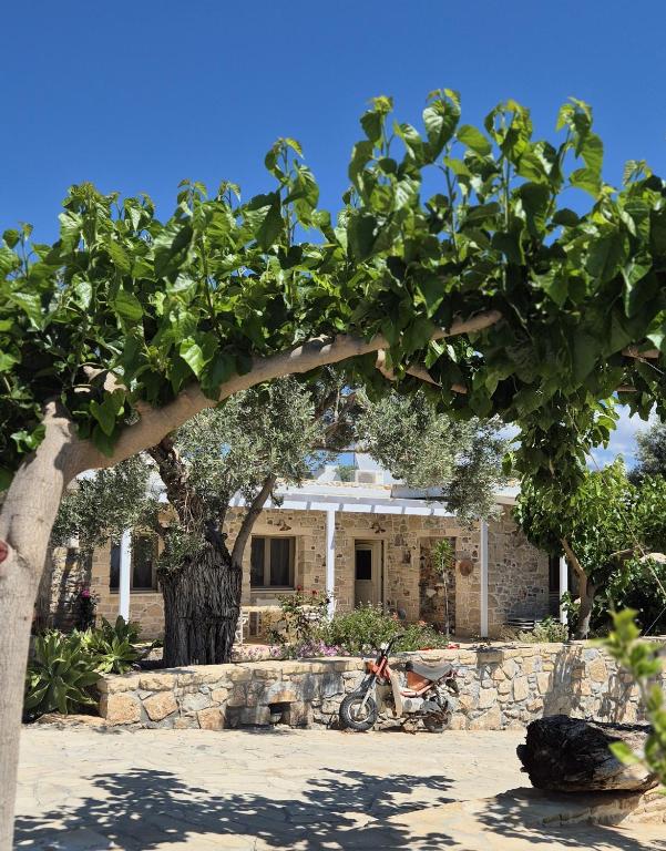a tree in front of a house with a motorcycle at Villa Efthalia in Pitsidia
