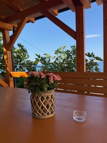 Guest House Iva