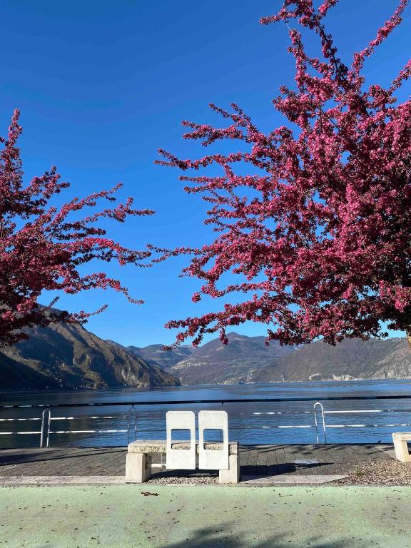 two white chairs sitting on a bench in front of a lake at Ottanio 2 Lake Apartments in Pisogne