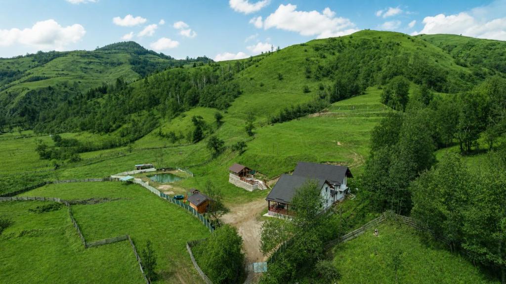 an aerial view of a house in a green hillside at Casa LA CIOTIC in Săcuieu