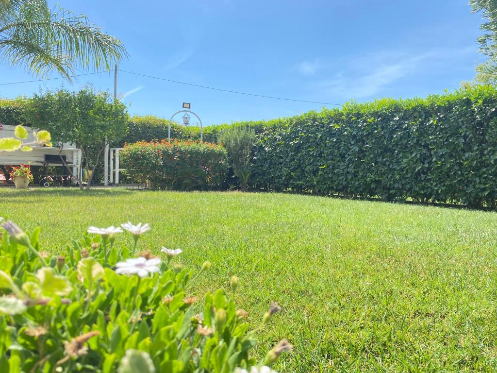 a green yard with flowers in the grass at GMD Sweet Home in Policoro