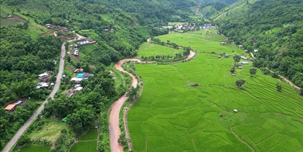 an aerial view of a river in a field at เวนิสบ้านเวร in Ban Khun Nam Nan