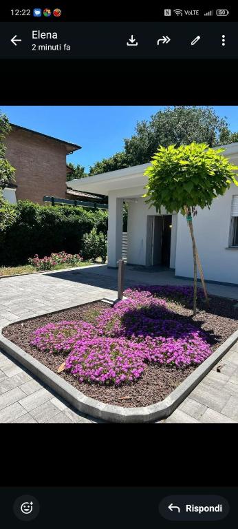 a picture of a garden with a tree and flowers at White Villa in Casinalbo