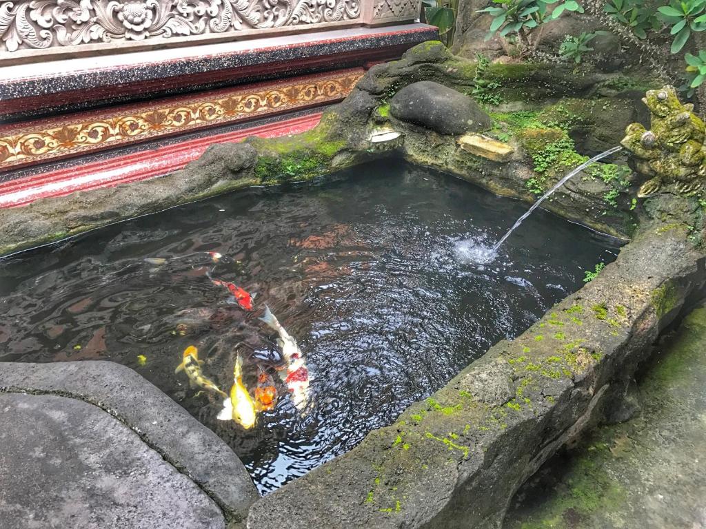 Fotografie z fotogalerie ubytování Sapta House v Ubudu
