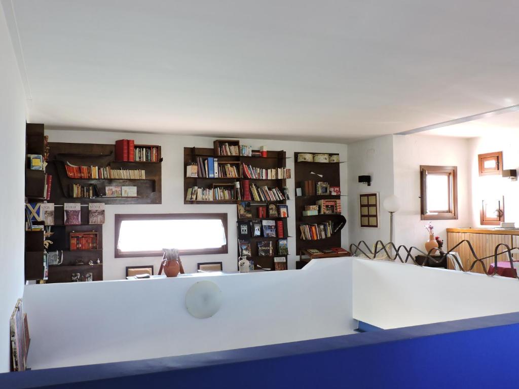 The library in the country house