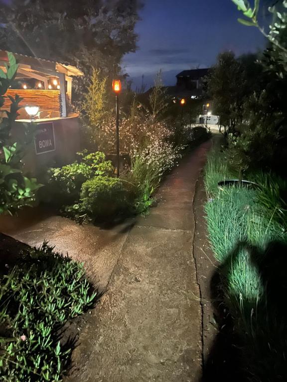 a path in a garden at night with a street light at Motubane Guest Farm in Madeteleli