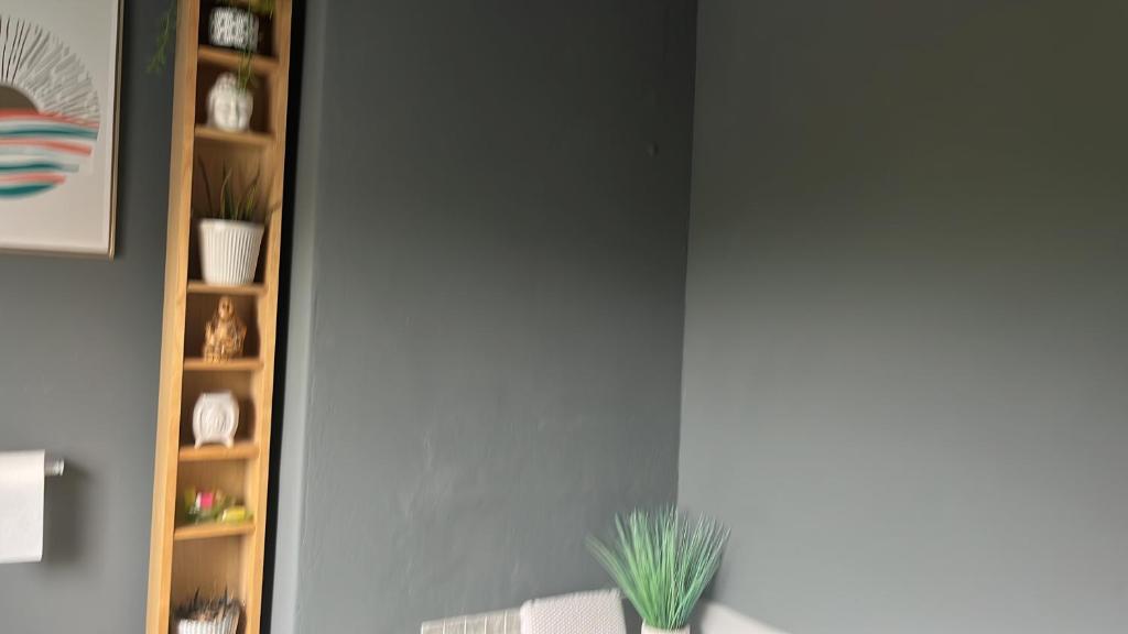 a living room with a couch and a shelf with plants at stone cottage in Fir Tree