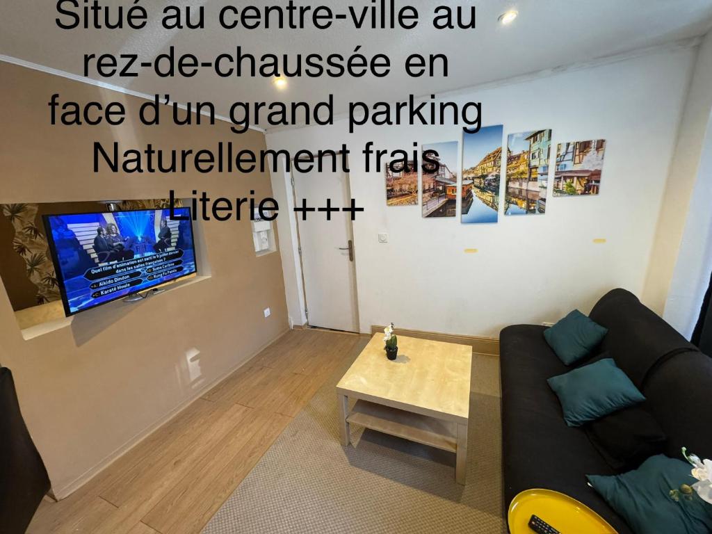 a living room with a couch and a table at Studio au rdc cœur de ville 1 in Sélestat