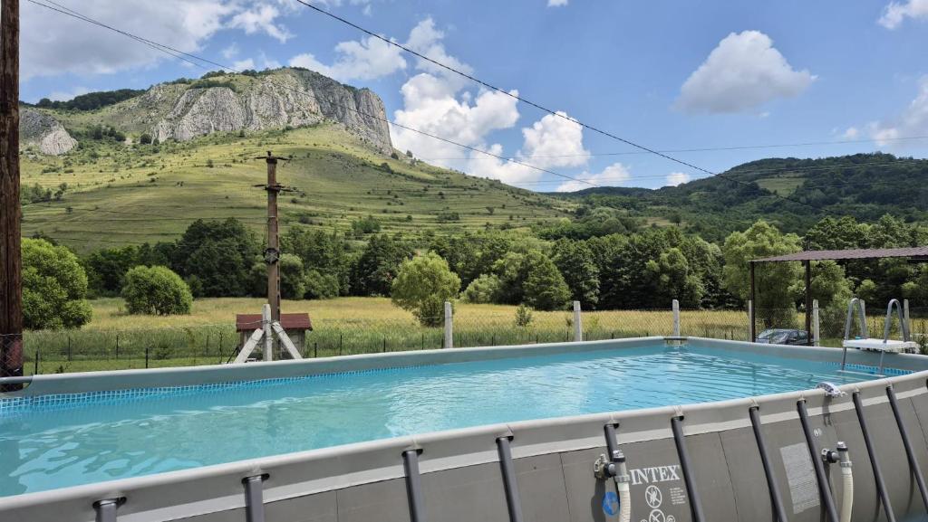 a swimming pool with a mountain in the background at Cabana Relax Time in Vălişoara