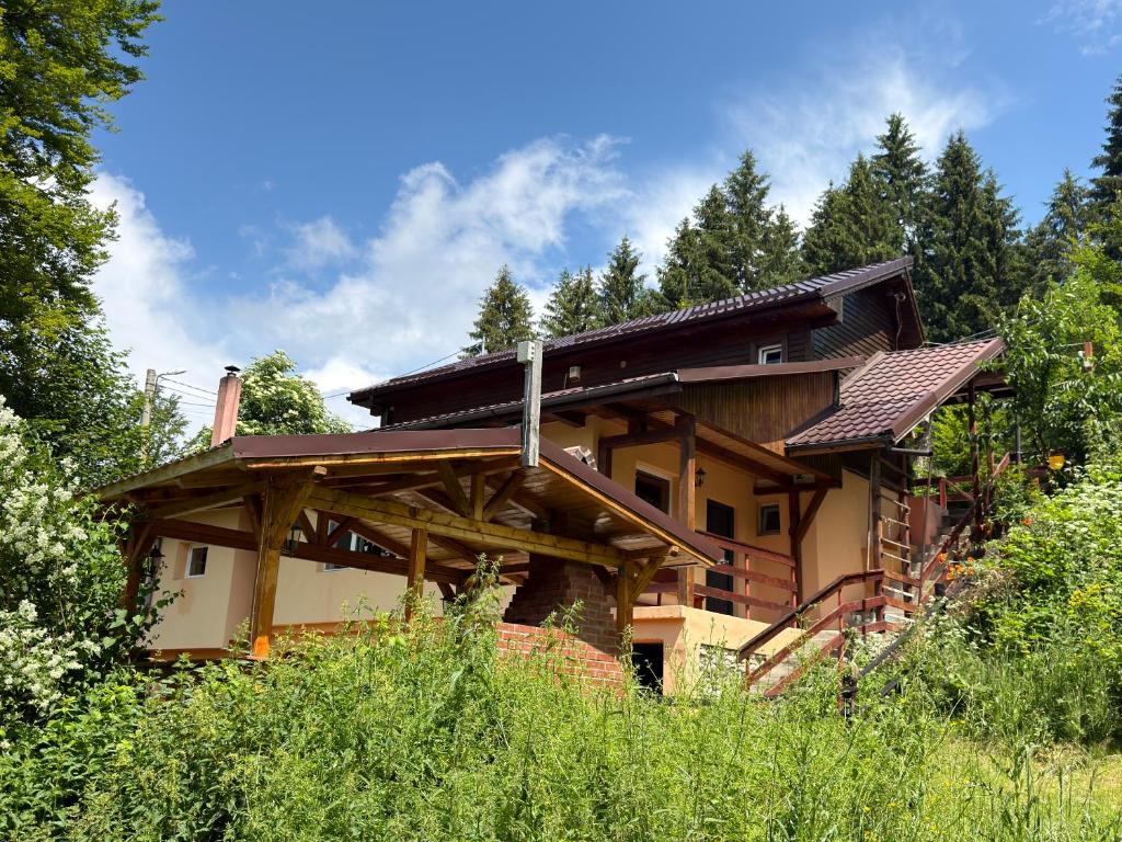 a house in the woods with trees in the background at Cabana Plai in Petroşani