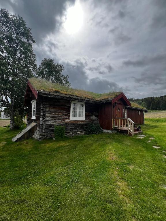 a log cabin with a grass yard in front of it at Såmmårstuggu in Røros