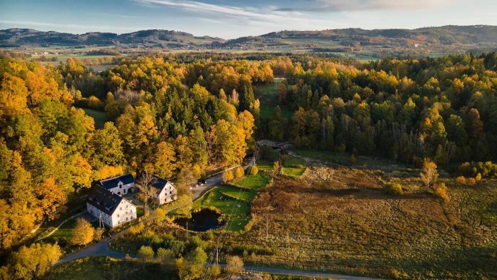 an aerial view of a house in a forest at Dom Sokolik in Trzcińsko