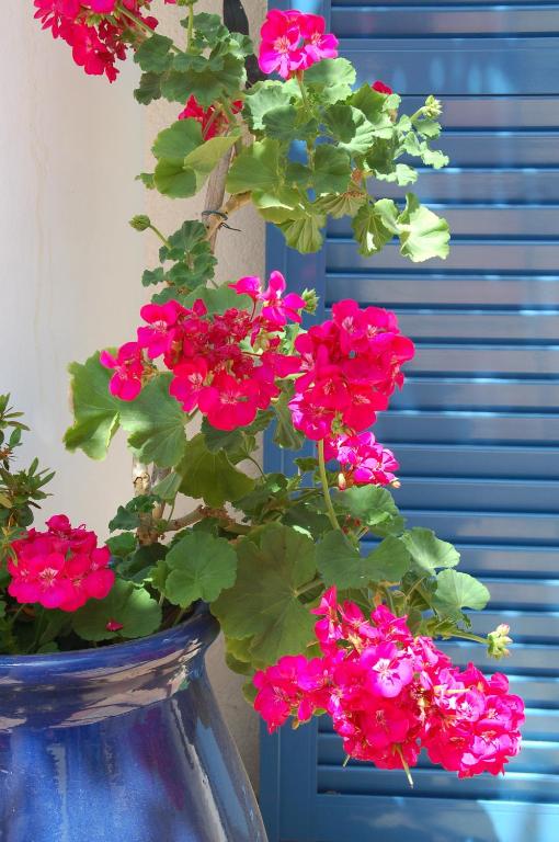 Hôtel de la Fontaine - Resim 38